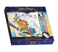 Mes tableaux à colorier Harry Potter: Avec 3 feutres brillants