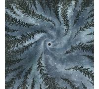 Mesarthim The Degenerate Era (CD) Album