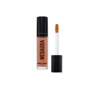 Mesauda pro light concealer p01