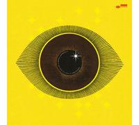 Meshell Ndegeocello No More Water: The Gospel of James Baldwin (Vinyl LP)