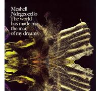 Meshell Ndegeocello - World Made Me The Man of My Dr [Import]