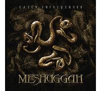 catch thirtythree: 20th anniversary