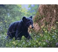 Mesribandy Kit Pittura Diamante 5D Animale orso DIY Diamond Painting Kit Completo Paint by Numbers per Bambini, Decorazione Casa quadri con perline 50x70 cm