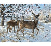 Mesribandy Kit Pittura Diamante 5D cervo animale della neve DIY Diamond Painting Kit Completo Paint by Numbers per Bambini, Decorazione Casa quadri con perline 50x70 cm