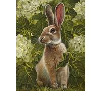 Mesribandy Kit Pittura Diamante 5D Coniglio DIY Diamond Painting Kit Completo Paint by Numbers per Bambini, Decorazione Casa quadri con perline 40x50 cm