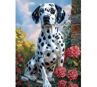 Mesribandy Kit Pittura Diamante 5D Dalmata DIY Diamond Painting Kit Completo Paint by Numbers per Bambini, Decorazione Casa quadri con perline 50x70 cm