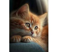 Mesribandy Kit Pittura Diamante 5D Gattino DIY Diamond Painting Kit Completo Paint by Numbers per Bambini, Decorazione Casa quadri con perline 50x70 cm