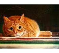 Mesribandy Kit Pittura Diamante 5D Gatto arancione DIY Diamond Painting Kit Completo Paint by Numbers per Bambini, Decorazione Casa quadri con perline 50x70 cm