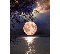 Mesribandy Kit Pittura Diamante 5D Tramonto DIY Diamond Painting Kit Completo Paint by Numbers per Bambini, Decorazione Casa quadri con perline 50x70 cm