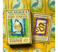 Messaggi Dal Tuo Animale SPIRIT Guide Oracolo Mazzo Carte Wisdom Hay House Nuovo