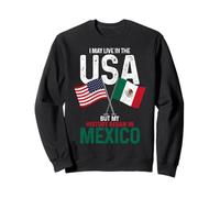 Messicano Americano La Mia Storia Iniziata In Messico Orgoglio Vintage Felpa