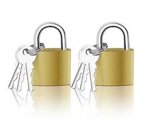 Mesybveo 2 Pezzi Lucchettom, 32mm Piccolo Lucchetto con 6 Chiave, Portatile Lucchetto Armadietto, Mini Lucchetto Valigia Chiave, per Giardini, Serrature per Biciclette, Porte e Finestre