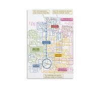 Metabolic Pathways Chart Canvas Print Human Biochemistry Map Detailed Science Diagram Educational Wall Art for Lab Clinic Classroom(Unframed,12x18inch(30x45cm))