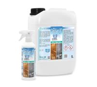 Metacril New DeoSan BT + Flacone Vaporizzatore, Detergente e Deodorante per Sauna e Bagno Turco - 5 LT