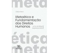 Metaética e Fundamentação dos Direitos Humanos: Uma análise expressivista