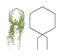 Metal Garden Trellis - Stakes di supporto in vaso decorativo in vaso | Supporto per piante in metallo con rivestimento a prova di ruggine | Calcolo di traliccioni piganti per giardino all'aperto e pen