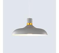 Metal Hanging Lamp Chinese Style Elegant Pendant Lights 1-Light Farmhouse Chandelier Dining Table Decoration Ceiling Lighting Fixture for Restaurant Dining Room Bedroom Kitchen Bar