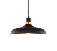 Metal Hanging Lamp Chinese Style Elegant Pendant Lights 1-Light Farmhouse Chandelier Dining Table Decoration Ceiling Lighting Fixture for Restaurant Dining Room Bedroom Kitchen Bar