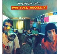 Metal Molly - Surgery for Zebra