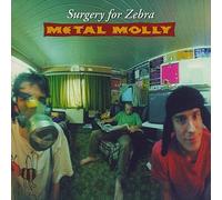 Metal Molly - Surgery for Zebra