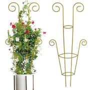 Metal Plant Trellis - Garden Support Stakes Climbing Plant Frame Structure | Adjustable Decorative Vine Holder Stand Rust Resistant for Indoor Outdoor, Balcony, Terrace Use