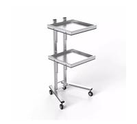 Metal Rolling Beauty Salon Trolley Cart with 3 Tiers And Stainless Steel Stand Gold Color Cart On Wheels for Salon And Kitchen Storage(Silver)