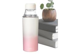 Metal Water Bottle | 450ml Gradient Leakproof with Tea Strainer