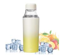 Metal Water Bottle 450ml Gradient Leakproof with Tea Strainer