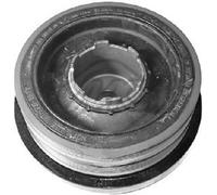 Metalcaucho 05723 Puleggia cinghia, Albero a gomiti per BMW