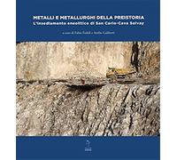- Metalli e metallurghi della preistoria. L'insediamento eneolitico di San Carl