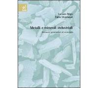 Metalli e minerali industriali. Parametri geominerari ed economici