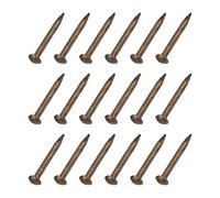 METALLIXITY 50pz 1,2x12mm Ottone Piccoli Ferramenta Chiodi Bronzo Tono
