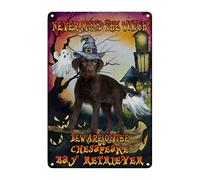 Metallo Posters, Border Collie Never Mind The Witch Beware Halloween Dog Witch Hat Ghost, Segno Plaque Resistente, Decorativo Segnali Di Avvertimento Per Decorazione Cucina, 20X30Cm