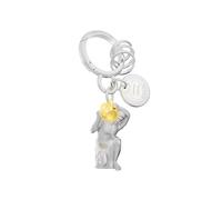 METALMORPHOSE - Portachiavi con segno zodiacale Acquario, segno astrologico dell'Acquario, regalo per uomo, donna e bambino, argento, taglia unica