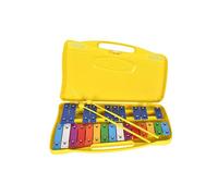 Metalofono per appunti con piastre di ferro colorate, strumento musicale a percussione sicuro e durevole per giocattolo educativo per sviluppare ritmo e creatività