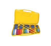 Metalofono per appunti con piastre di ferro colorate, strumento musicale a percussione sicuro e durevole per giocattolo educativo per sviluppare ritmo e creatività