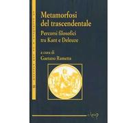 Metamorfosi del trascendentale. Vol. 1: Percosi filosofici tra Kant e Deleuze.