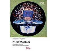Metamorfosi. Ediz. illustrata