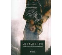 Libri Roberta Novielli - Metamorfosi. Schegge Di Violenza Nel Nuovo Cinema Giapp