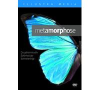 Metamorphose: Die geheimnisvolle Schönheit der Schmetterlinge