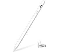 MYSTILUCK Penna per iPad 9a & 10a Generazione, Ricarica Rapida in 13 Minuti, Stilo per Apple iPad (2018-2024) 10/9/8/7/6 Generazione, iPad Pro 12,9/11/13 M4, iPad Air 3/4/5/M2, iPad Mini 5/6.