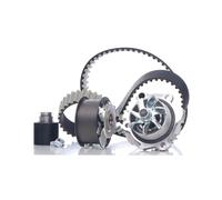 METELLI 30-0761-1 Kit cinghia distribuzione pompa acqua per VW POLO (9N) Lupo