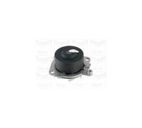 Metelli PA621 Pompa Acqua