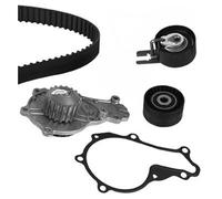 metelligroup 30-0938-1 Kit distribuzione con pompa acqua, composto da galoppino, Cinghia di distribuzione e tenditore, Pezzo di Ricambio per Auto, Ricambio automobile