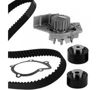 METELLI Pompa Acqua + Dentate per Fiat Scudo Combinato 2.0 JTD 16V