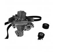 METELLI Pompa Acqua + Dentate per Peugeot 307 Cc 3B 3E 3H Citroën C4