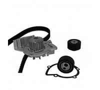 METELLI Pompa Acqua + Dentate per Peugeot Boxer Bus 244 Z_ Citroën