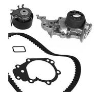METELLI Pompa Acqua + Dentate per Renault Clio III BR0/1 CR0/1 Twingo