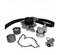 METELLI Pompa Dell'Acqua + Kit Cinghia Dentata Per Audi A6 Avant 4F5 C6 4B C5 A4