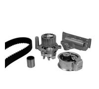 METELLI Pompa Dell'Acqua + Kit Cinghia Per VW Passat Variant 3B5 Golf IV 1J1 1J5